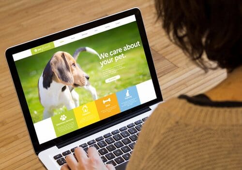 Websites, Domains, & All the Things